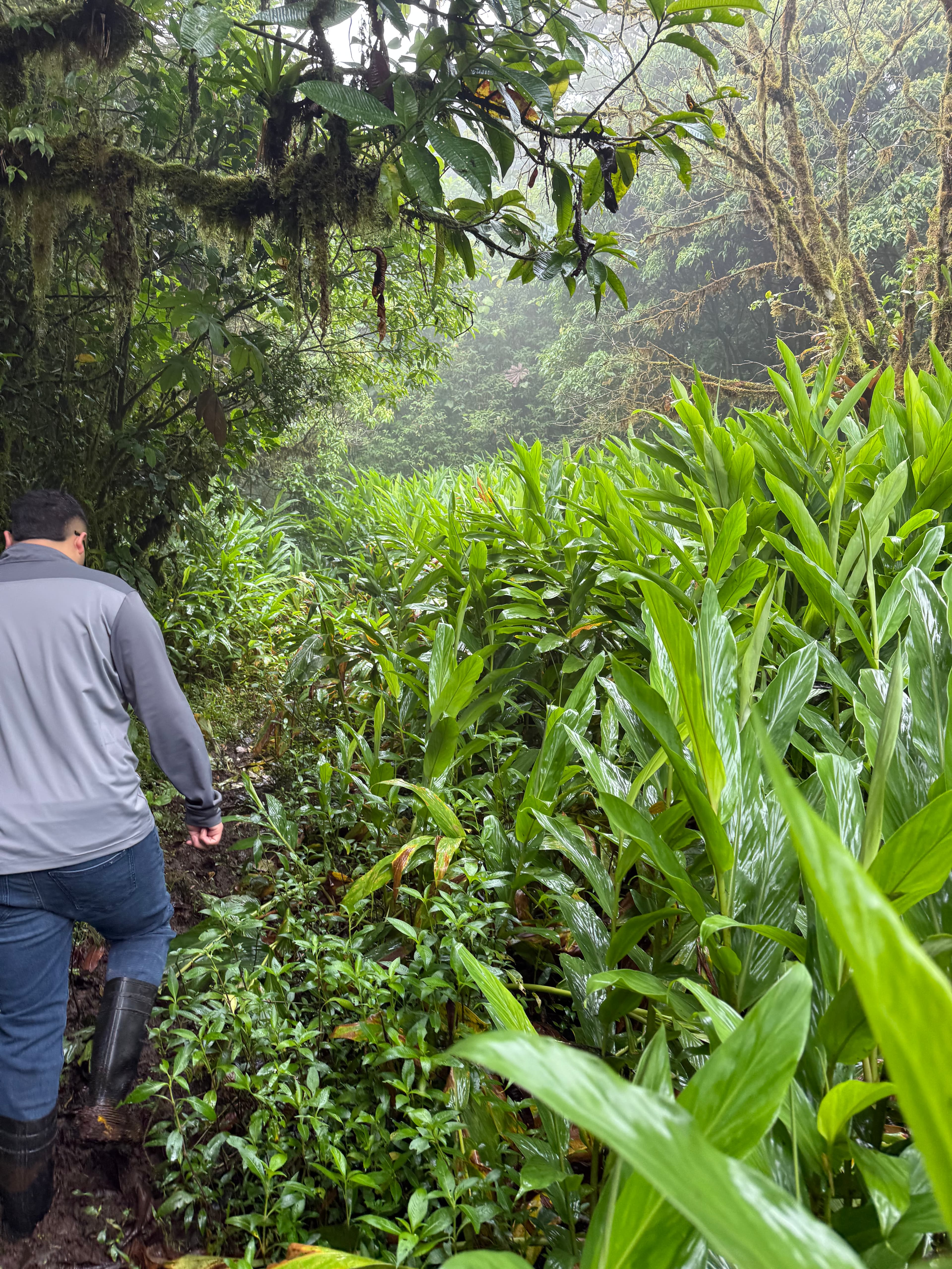 Gabriel, a local friend, working on the land at Cielo Verde