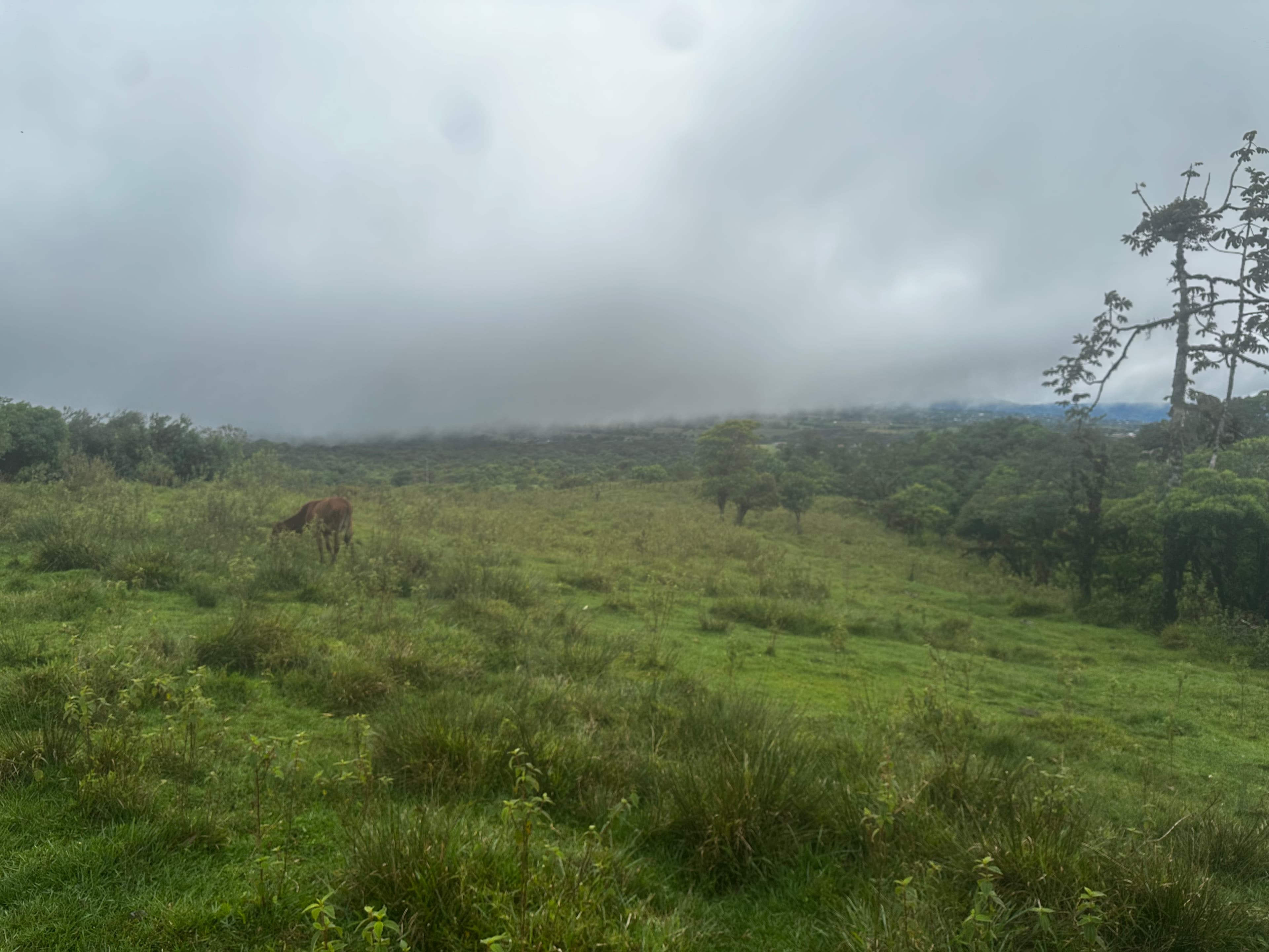 The potrero at Cielo Verde — hilly clearing with cloud rolling in