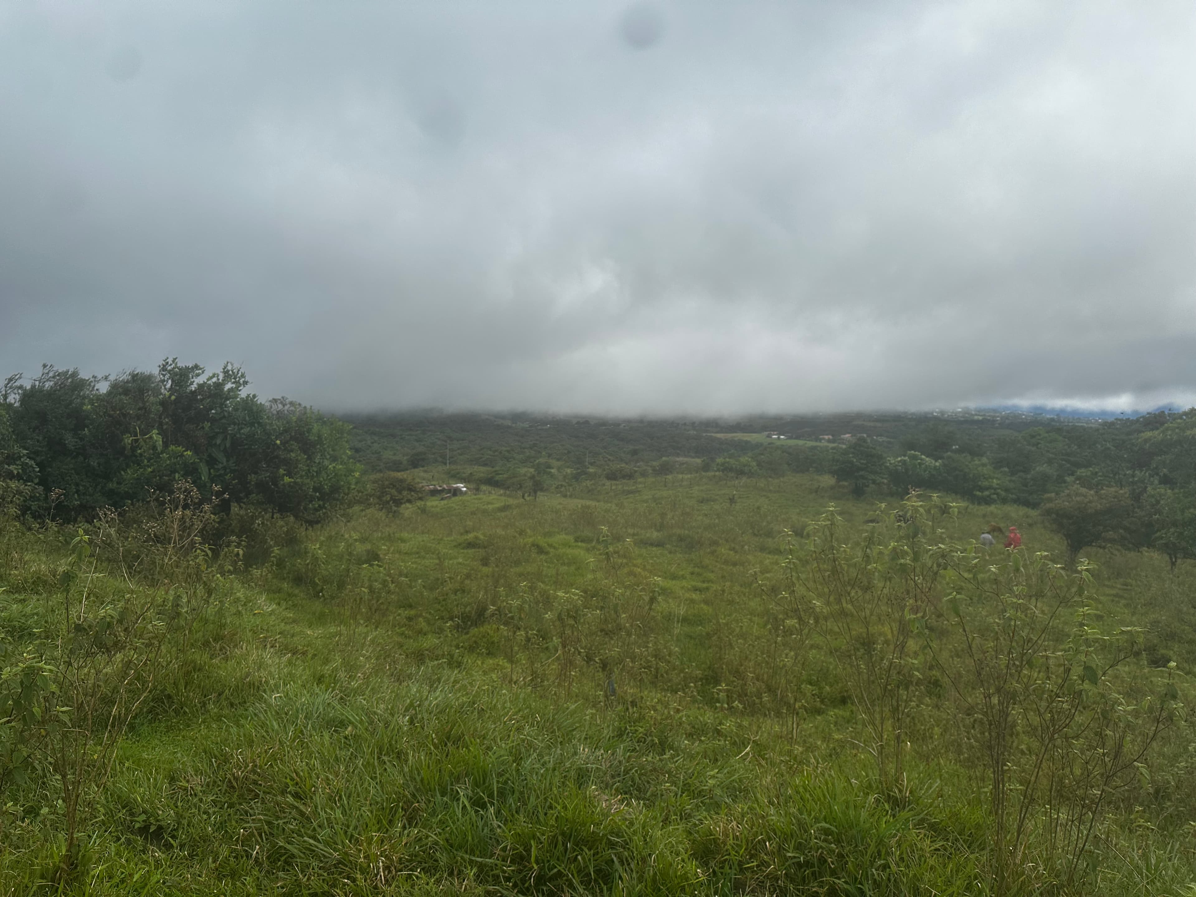 The potrero at Cielo Verde — wide clearing with cloud pressing down