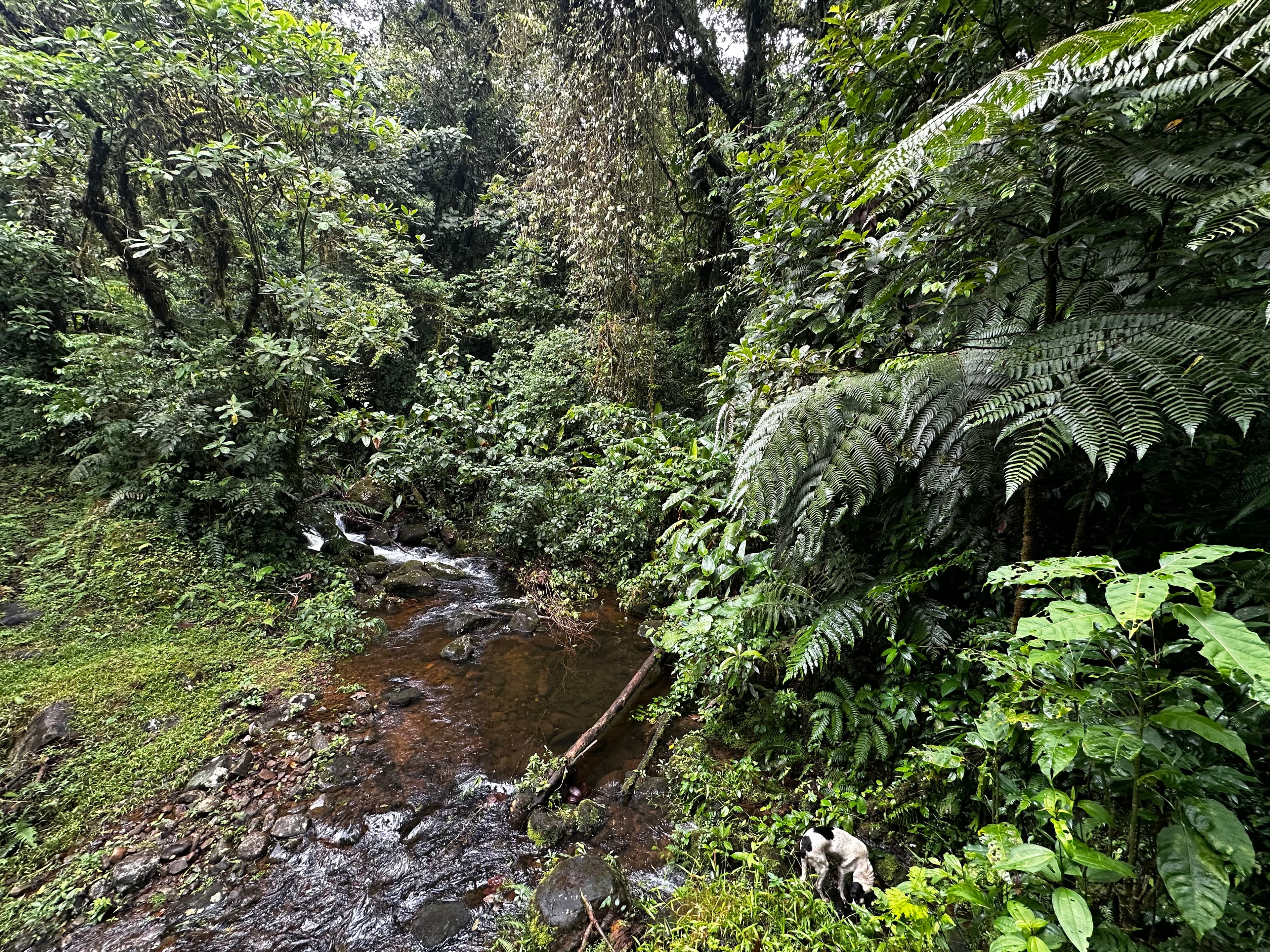 The year-round river on the western boundary of Cielo Verde